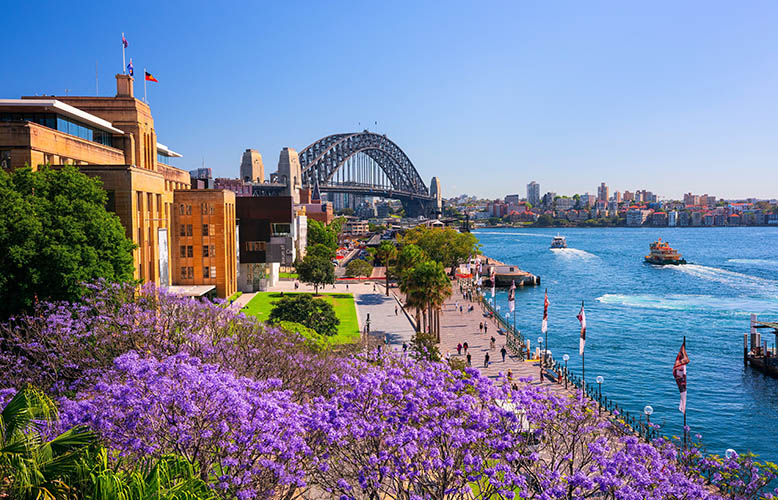 Sydney Bursts Into Springtime Colour