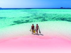 Sail & Stay: A Luxury Retreat with AYANA Komodo Waecicu Beach & AYANA Cruises