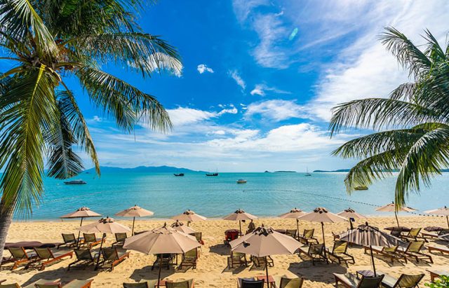 Beautiful tropical beach sea and ocean with coconut palm tree a