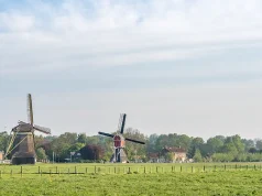 Beyond the Canals: A Perfect Day Trip to the Dutch Countryside