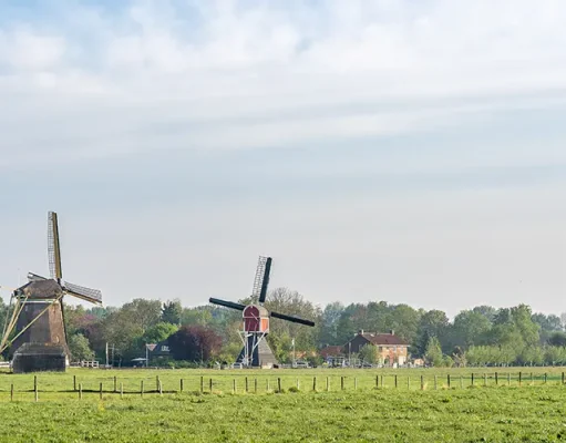 Beyond the Canals: A Perfect Day Trip to the Dutch Countryside