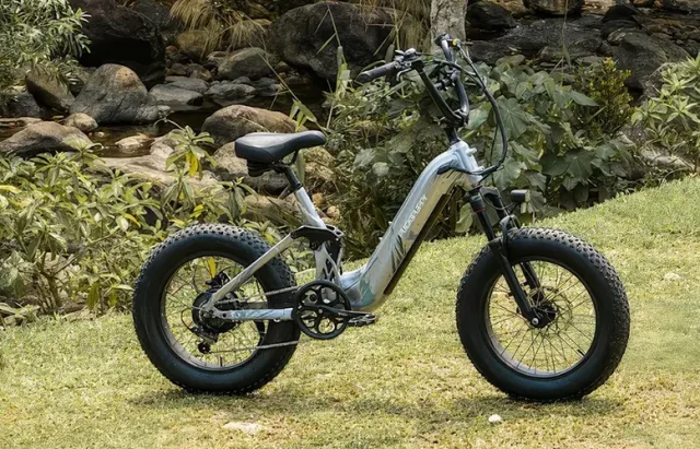 fat tire e-biks-topaz-upscale-2x copy