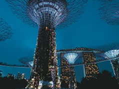 How Cities Are Turning Grey Into Green