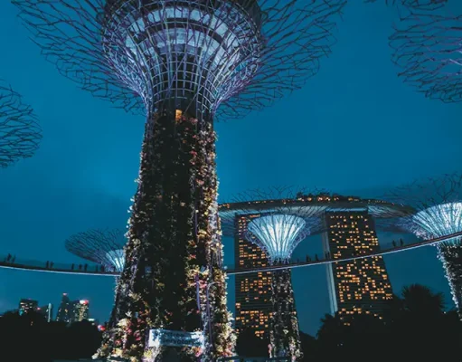 How Cities Are Turning Grey Into Green