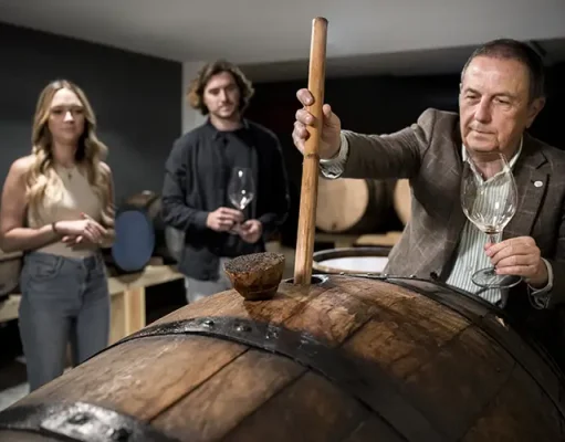 Why Fall Is the Best Time to Visit Cognac, France