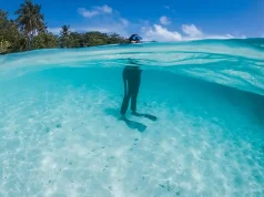 Liveaboards Maldives: The Ultimate Way to Explore the Underwater Paradise