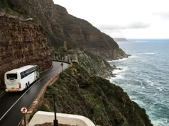 How Sports Fans Are Bringing Their Fandom on the Road