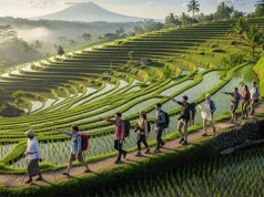 Why Travellers to Bali Should Choose a Local eSIM Over International Options