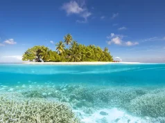 W Maldives Partners With Mars for One of the Maldives’ Largest Coral Restoration Projects