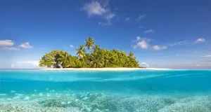 W Maldives Partners With Mars for One of the Maldives’ Largest Coral Restoration Projects
