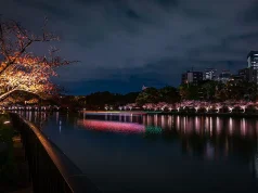 Winnipeg After Dark: Nightlife, Live Music and Spots to Catch the Game