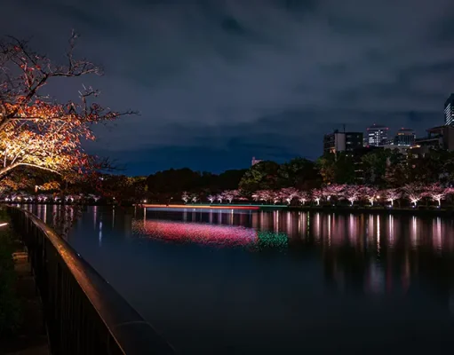 Winnipeg After Dark: Nightlife, Live Music and Spots to Catch the Game
