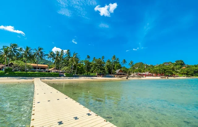 beautiful-tropical-beach-sea-sand-with-coconut-palm-tree-blue-sky-white-cloud copy