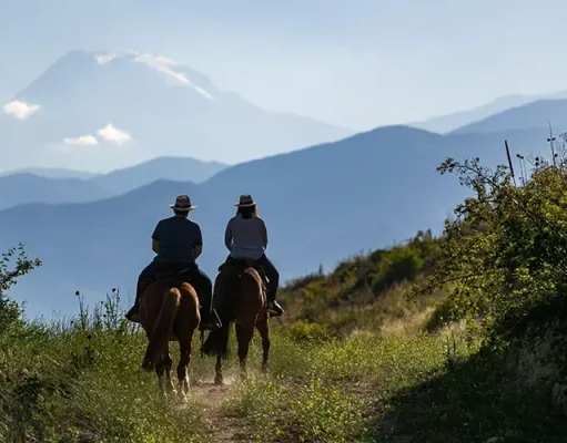 Between Wine Country and the Andes