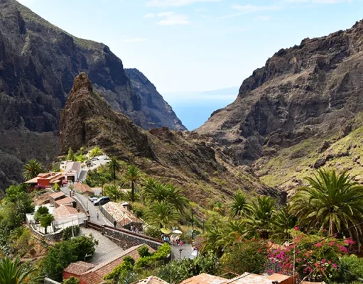 The Real Tenerife: What Locals Actually Want You to Know (But Tourist Guides Won’t Tell You)