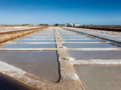 The Tavira Salt Pans