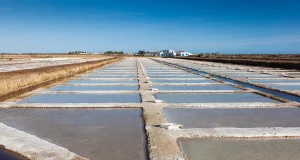 The Tavira Salt Pans