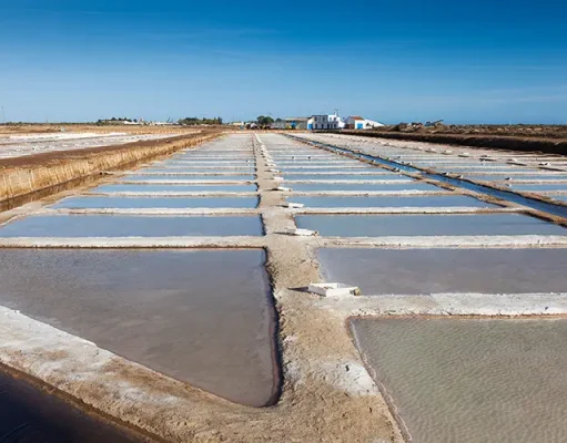 The Tavira Salt Pans