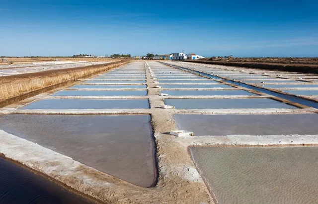 AdobeStock_92771898 copy