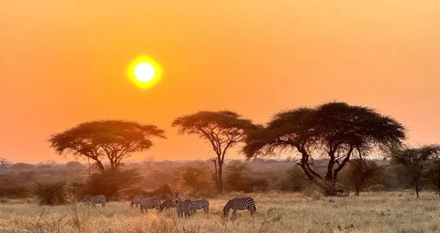 BTE Tanzania_Ruahan site_4 copy