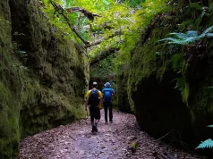 Exploring Sapporo and Beyond: Oku Japan’s Self-Guided Walking Tour