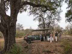 Exclusive-Use Villa: Tintswalo Scops Rest Debuts in Greater Kruger