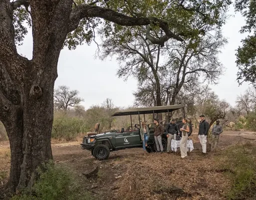 Exclusive-Use Villa: Tintswalo Scops Rest Debuts in Greater Kruger