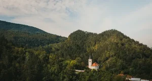Kočevsko and the Deep Forest