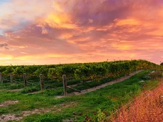 Wineries, Waterfronts, and Weekend Luxury: Exploring New Jersey with Grace