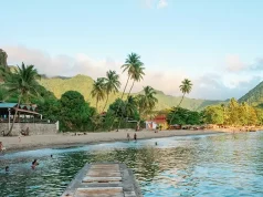 A Journey Through Resorts and Marine Parks in the Tropics