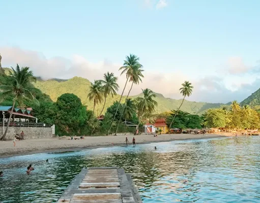 A Journey Through Resorts and Marine Parks in the Tropics
