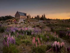 Explore the Best of New Zealand: Must-Do Experiences & Must-See Spots