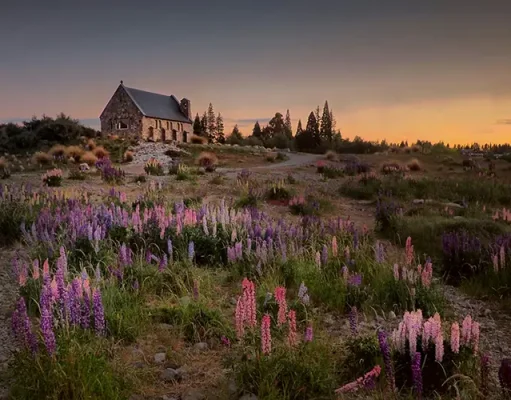 Explore the Best of New Zealand: Must-Do Experiences & Must-See Spots