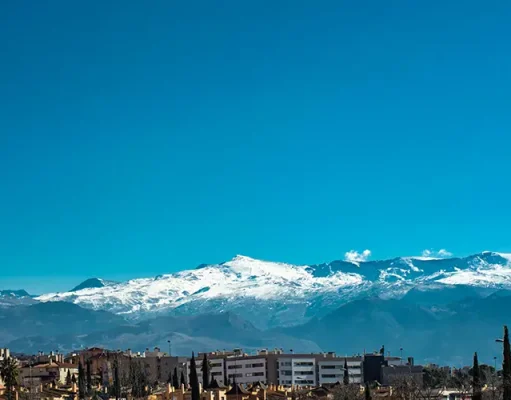 The Lost City Trek in Colombia: Costs, Fitness Prep, and What No One Tells You