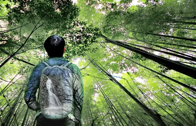 rear-view-man-standing-forest copy
