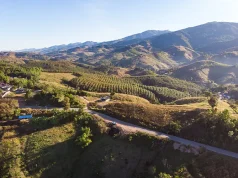 7 Incredible Things to Do in Sonoma Valley, California