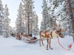 Luxury Lapland Winter Escape: Your Best Christmas Yet with Off the Map Travel