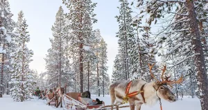 Luxury Lapland Winter Escape: Your Best Christmas Yet with Off the Map Travel
