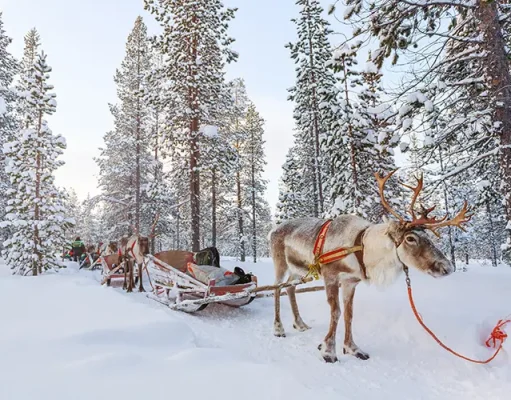 Luxury Lapland Winter Escape: Your Best Christmas Yet with Off the Map Travel