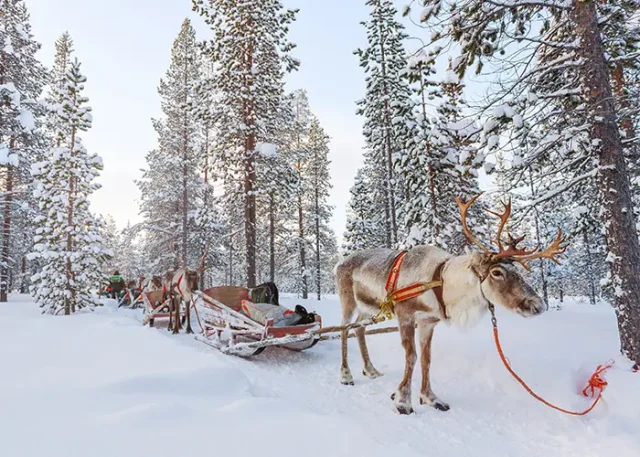 AdobeStock_123851960(1) copy