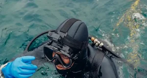 20 Extraordinary Diving Destinations That Will Transform Your Underwater Adventures Forever