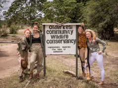 African Conservation Safari Specifically for Teens
