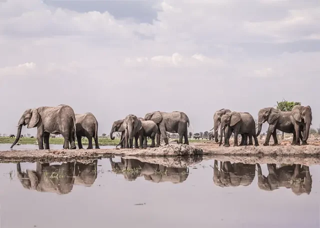 Mokete_hide_10.24FR-10 copy