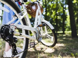 How to Keep Your Rental Bike Performing Smoothly on Multi-Day Rides