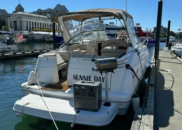 envato-labs-image-edit (7) copy