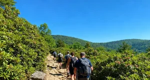 Explore the Smokies: Outdoor Adventures You Can’t Miss
