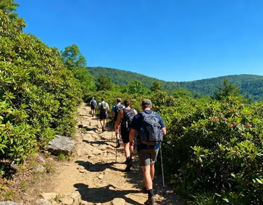 Explore the Smokies: Outdoor Adventures You Can’t Miss