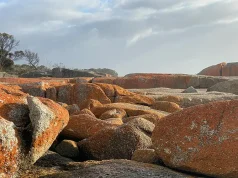 Why Tasmania’s Bay of Fires is the Hottest Beach Destination This Summer