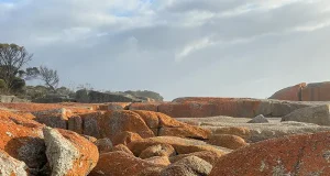 Why Tasmania’s Bay of Fires is the Hottest Beach Destination This Summer