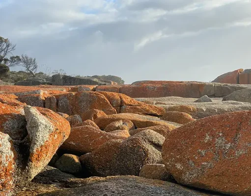 Why Tasmania’s Bay of Fires is the Hottest Beach Destination This Summer